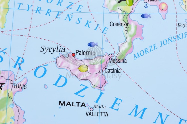 Europa gospodarcza 1:3 600 000. Mapa ścienna wydawnictwa Meridian. Fragment 4