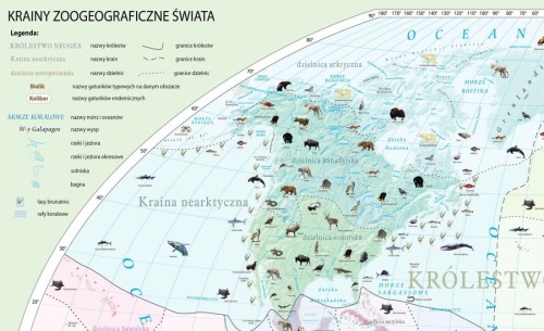 Krainy zoogeograficzne świata 1:22 000 000. Mapa ścienna wydawnictwa Meridian. Fragment