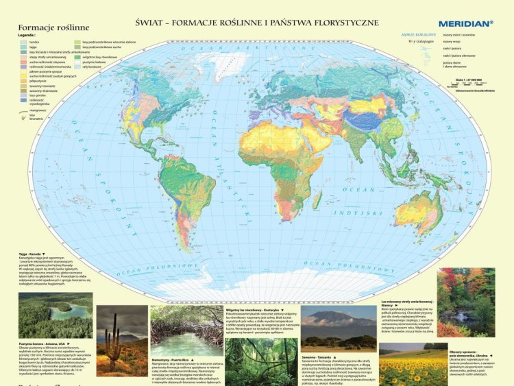Państwa florystyczne i formacje roślinne świata 1:30 000 000. Mapa ścienna wydawnictwa Meridian. Mapa 1