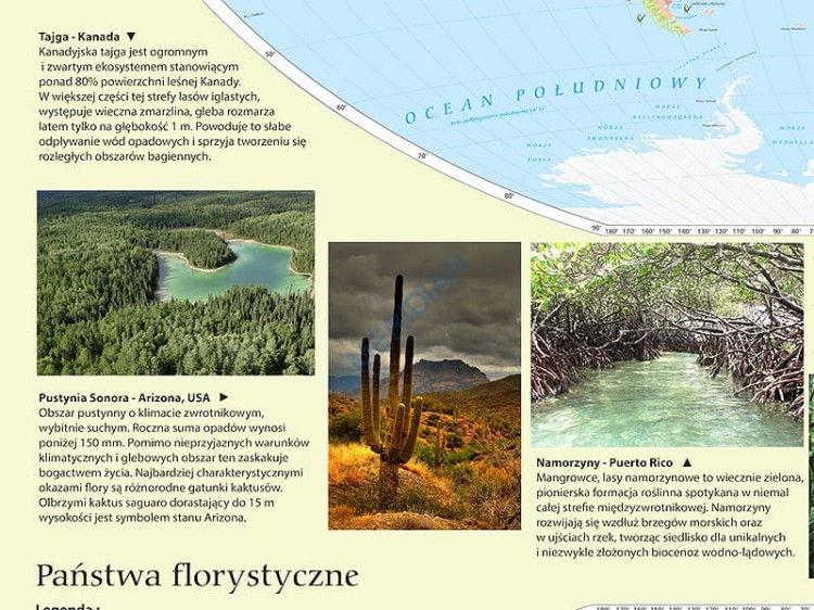 Państwa florystyczne i formacje roślinne świata 1:30 000 000. Mapa ścienna wydawnictwa Meridian. Mapa 1 - fragment 2