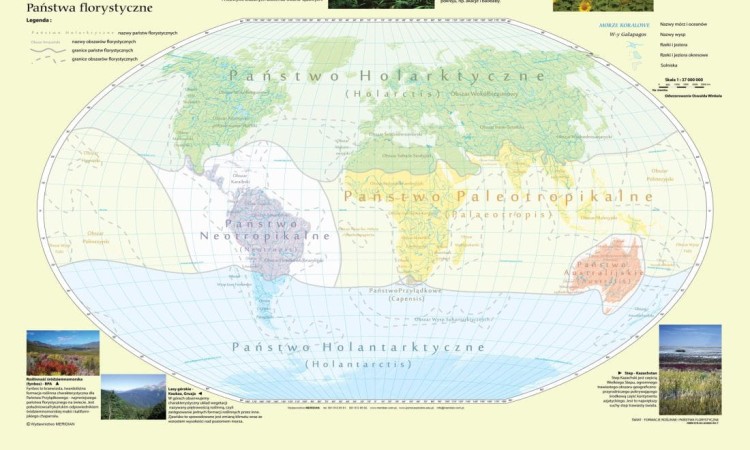 Państwa florystyczne i formacje roślinne świata 1:30 000 000. Mapa ścienna wydawnictwa Meridian. Mapa 2