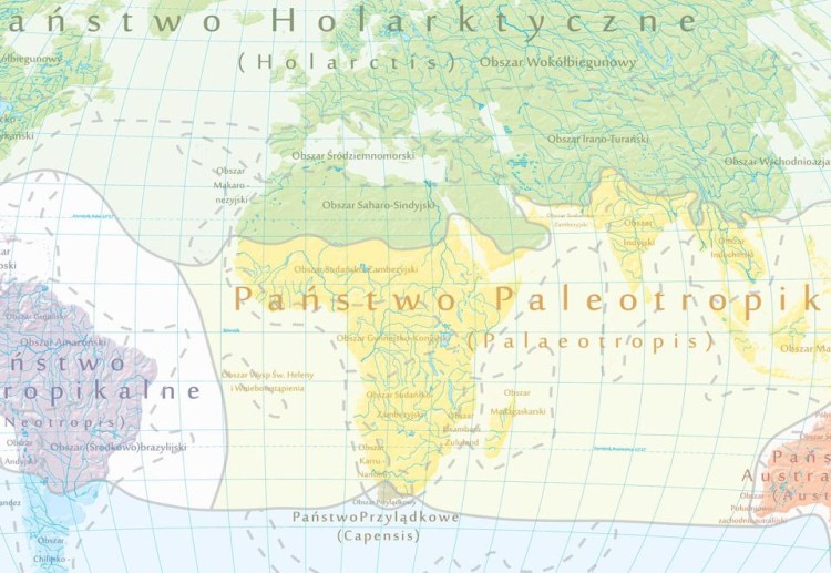 Państwa florystyczne i formacje roślinne świata 1:30 000 000. Mapa ścienna wydawnictwa Meridian. Mapa 2 - fragment