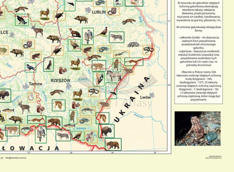 Zoogeografia Polski 1:600 000. Mapa ścienna wydawnictwa Meridian. Fragment 2
