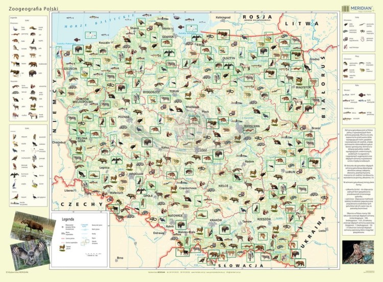 Zoogeografia Polski 1:500 000. Mapa ścienna wydawnictwa Meridian
