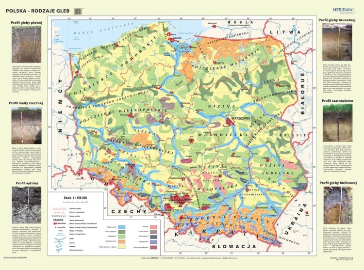 Polska - rodzaje gleb 1:650 000. Mapa ścienna wydawnictwa Meridian