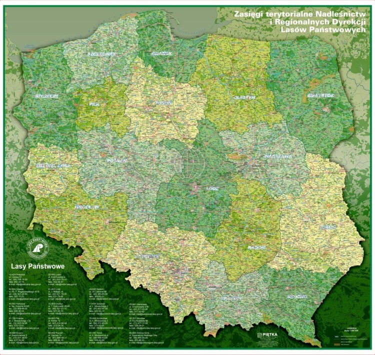Polska 1:500 000. Mapa ścienna. Zasięgi terytorialne Nadleśnictw i Regionalnych Dyrekcji Lasów Państwowych