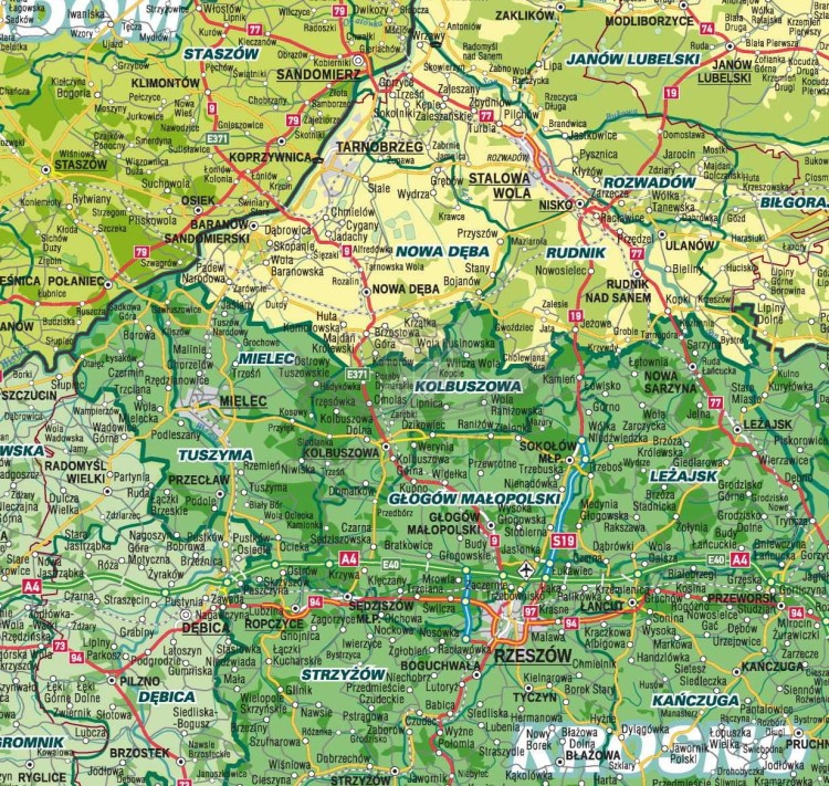Polska 1:500 000. Mapa ścienna. Zasięgi terytorialne Nadleśnictw i Regionalnych Dyrekcji Lasów Państwowych. Fragment 2