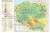 Polska 1:700 000. Geologia Polski - tektonika i stratygrafia. Mapa ścienna wydawnictwa Meridian. Mapa 2