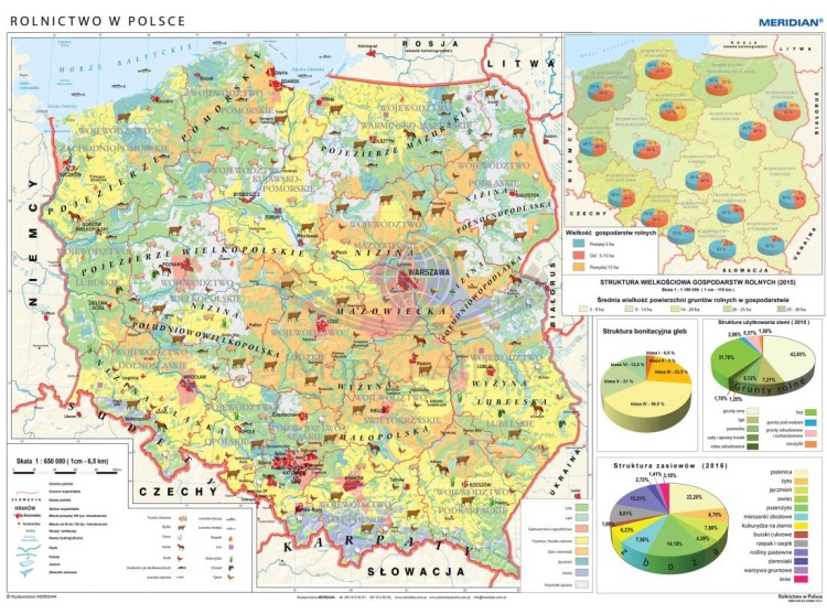 Polska 1:650 000. Rolnictwo w Polsce. Uprawy i struktura użytkowania ziemi. Mapa ścienna wydawnictwa Meridian