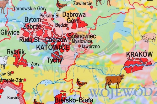 Polska 1:550 000. Rolnictwo w Polsce. Uprawy i struktura użytkowania ziemi. Mapa ścienna wydawnictwa Meridian. Fragment 1