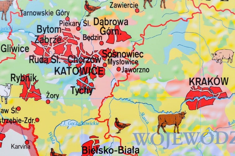 Polska 1:550 000. Rolnictwo w Polsce. Uprawy i struktura użytkowania ziemi. Mapa ścienna wydawnictwa Meridian. Fragment 1