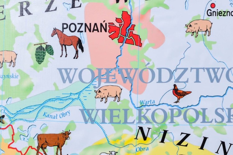 Polska 1:550 000. Rolnictwo w Polsce. Uprawy i struktura użytkowania ziemi. Mapa ścienna wydawnictwa Meridian. Fragment 3