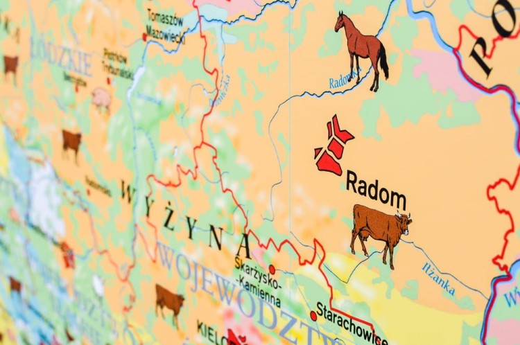 Polska 1:550 000. Rolnictwo w Polsce. Uprawy i struktura użytkowania ziemi. Mapa ścienna wydawnictwa Meridian. Fragment 4