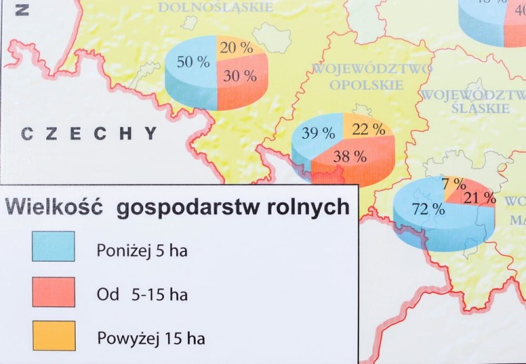 Polska 1:550 000. Rolnictwo w Polsce. Uprawy i struktura użytkowania ziemi. Mapa ścienna wydawnictwa Meridian. Fragment 5
