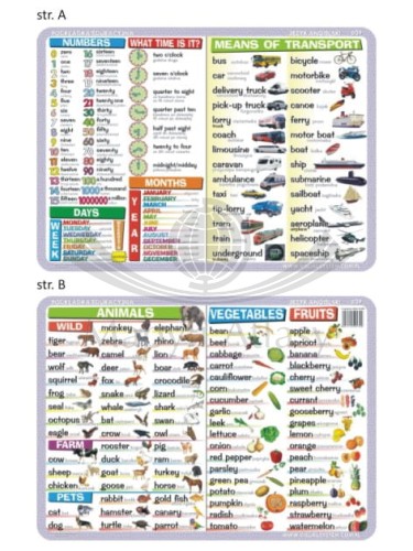 Numbers, time, calendar, vegetables, fruits, animals, transport. Dwustronna podkładka edukacyjna