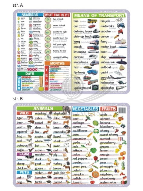 Numbers, time, calendar, vegetables, fruits, animals, transport. Dwustronna podkładka edukacyjna