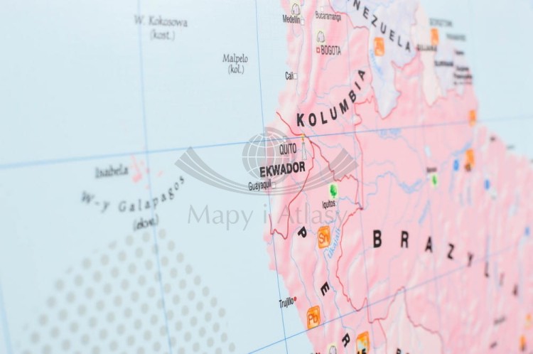 Świat 1:22 000 000. Mapa ścienna gospodarcza: surowce, przemysł, energetyka. Wydawnictwo: Meridian. Fragment 4