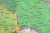Rzeczpospolita Polska w okresie rozbiorów (1772-1795). Mapa ścienna wydawnictwa Meridian. Fragment 1