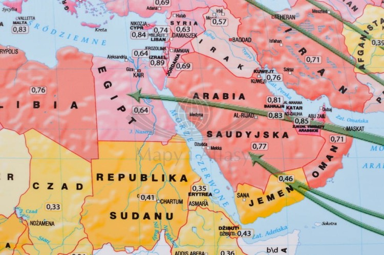 Świat 1:31 000 000. Zróżnicowanie gospodarcze i społeczne. Mapa ścienna wydawnictwa Meridian. Fragment 7