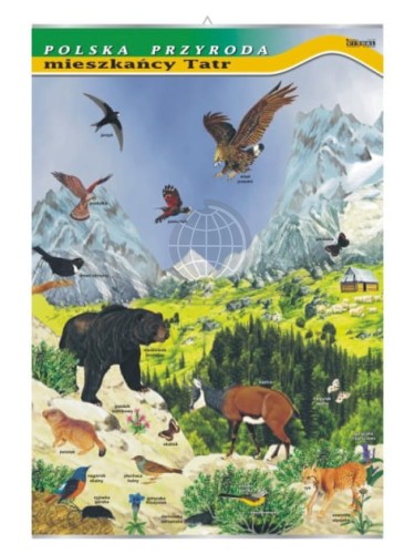 Polska przyroda. Mieszkańcy Tatr. Plansza edukacyjna