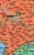 Niemcy 1:1 000 000. Mapa składana kodowa wydawnictwa Piętka. Fragment 5