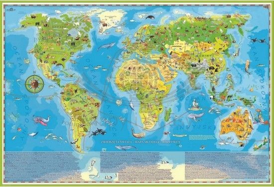 Zwierzęta Świata Młodego Odkrywcy. Naklejka, mapa ścienna dla dzieci. Producent: ArtGlob