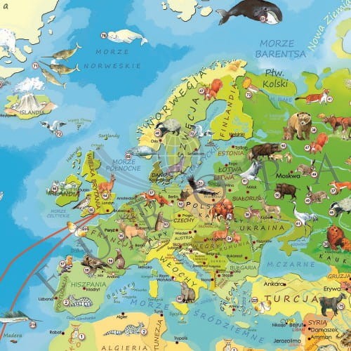 Zwierzęta Świata Młodego Odkrywcy. Naklejka XXL, mapa ścienna dla dzieci. Producent: ArtGlob. Fragment 4