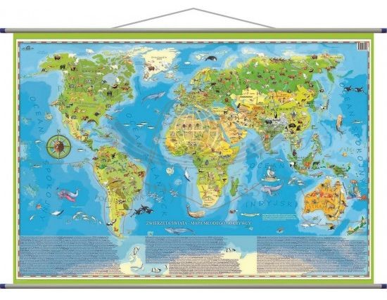 Zwierzęta Świata Młodego Odkrywcy MIDI. Mapa ścienna dla dzieci. Producent: ArtGlob