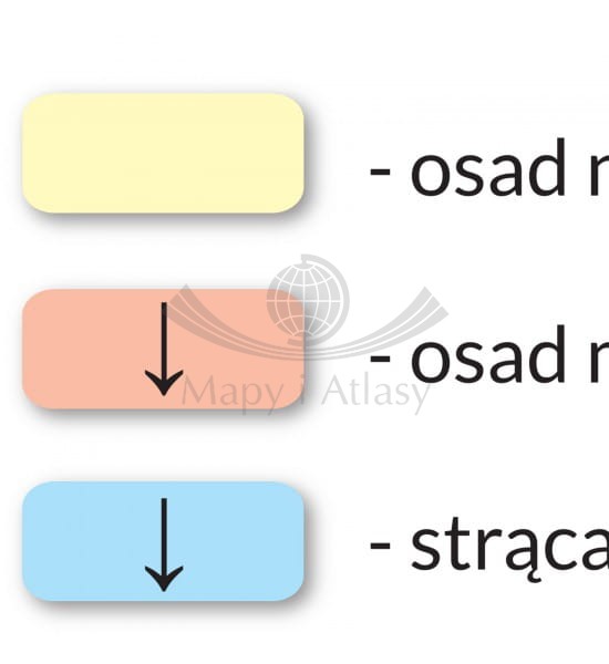 Tabela rozpuszczalności związków. Naklejka M, plansza edukacyjna. ArtGlob. Fragment 5