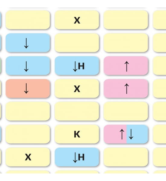 Tabela rozpuszczalności związków. Naklejka M, plansza edukacyjna. ArtGlob. Fragment 4