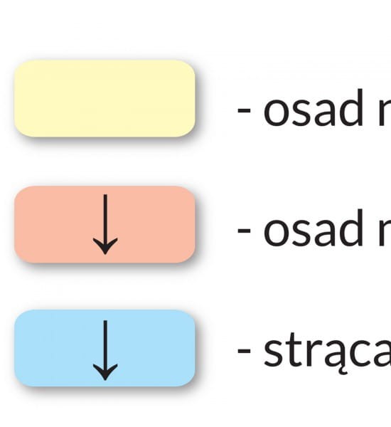 Tabela rozpuszczalności związków. Naklejka M, plansza edukacyjna. ArtGlob. Fragment 5
