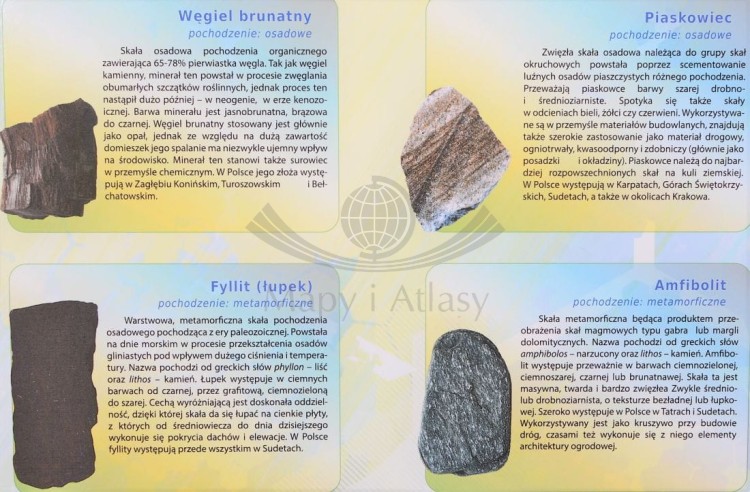 Minerały i skały. Plansza edukacyjna wydawnictwa Meridian. Fragment 2