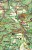 Polanica-Zdrój. Duszniki-Zdrój. Góry Stołowe. Kieszonkowa, laminowana mapa turystyczna wydawnictwa Galileos. Fragment 3