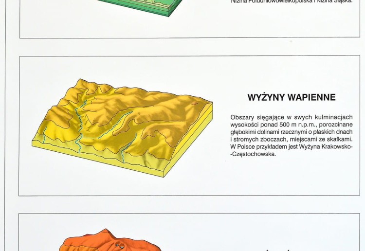 Polska - budowa geologiczna 1 fragment 1 NE a (2).jpg
