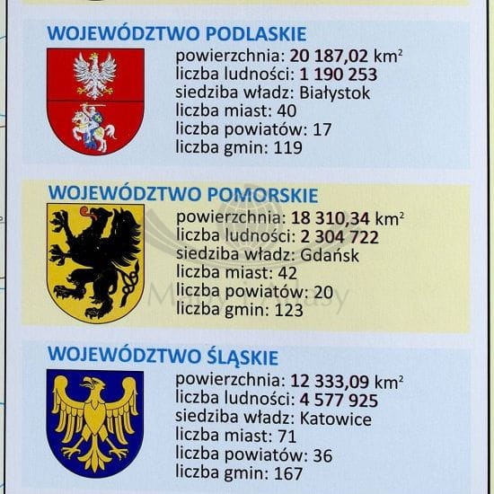 Polska 1:1 000 000. Mapa ścienna administracyjna. Fragment 7