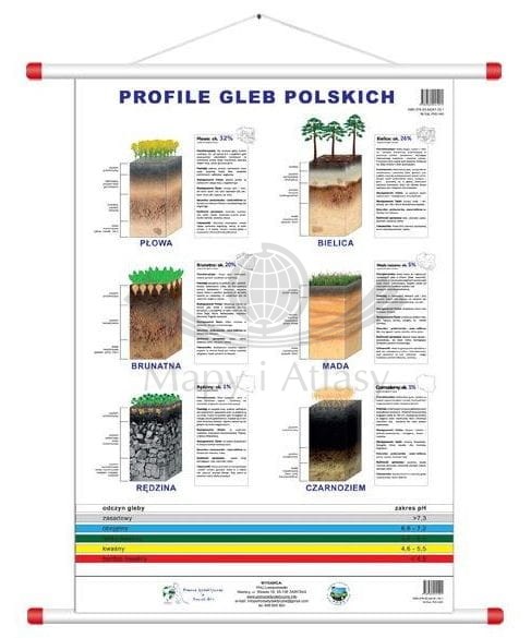 Profile gleb polskich. Plansza edukacyjna 70 x 100 cm. Oprawa w plastikowe rurki