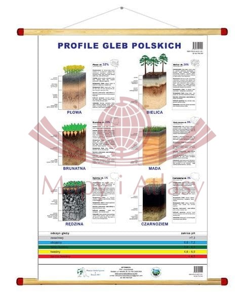Profile gleb polskich. Plansza edukacyjna 70 x 100 cm