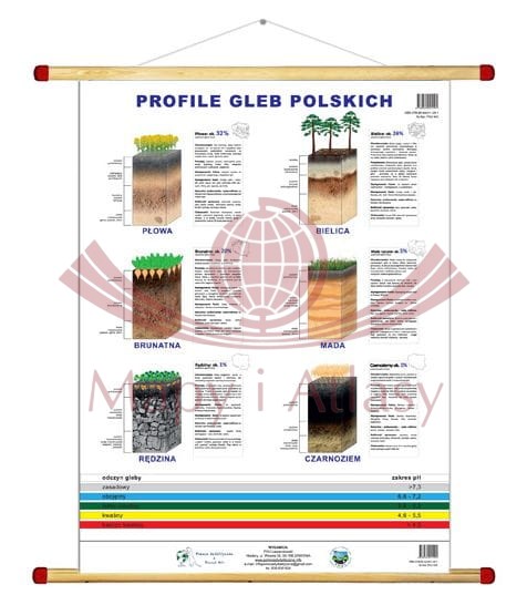 Profile gleb polskich. Plansza edukacyjna 120 x 160 cm