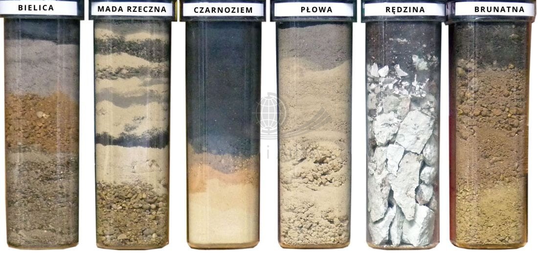 Najpopularniejsze gleby Polski. Profile glebowe. Zestaw 6 sztuk + karty charakterystyk