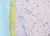 Skandynawia 1:1 700 000. Mapa kodowa do wpinania. Rama alu SLIM. Fragment 7