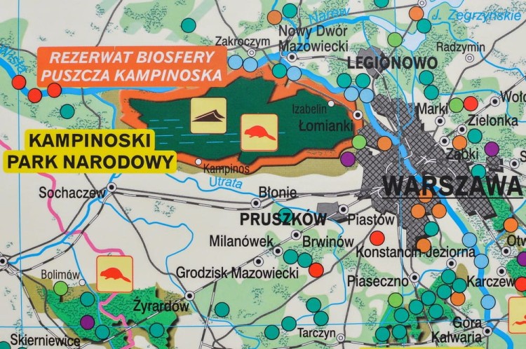 Polska ochrona przyrody NE (10) a.jpg