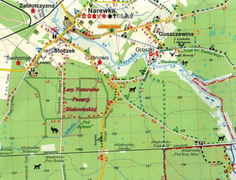 Puszcza Białowieska i okolice 1:50 000. Mapa turystyczna wydawnictwa Cartomedia. Fragment 1