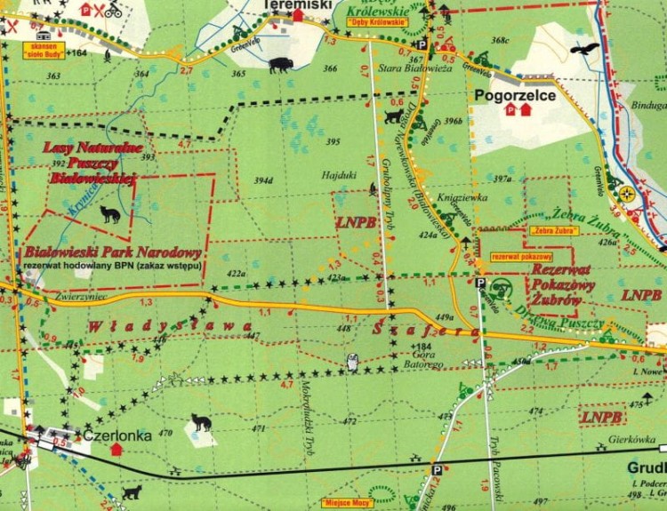 Puszcza Białowieska i okolice 1:50 000. Mapa turystyczna wydawnictwa Cartomedia. Fragment 2