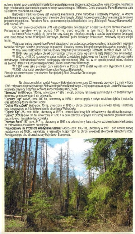 Puszcza Białowieska i okolice 1:50 000. Mapa turystyczna wydawnictwa Cartomedia. Informator - fragment
