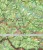 Bieszczady 1:200 000. Laminowana minimapa turystyczna  wydawnictwa ExpressMap. Fragment 2
