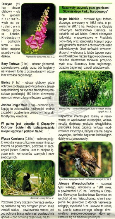 Słowiński Park Narodowy i okolice. Łeba, Rowy, Smołdzino. Mapa turystyczna / Plan miasta wydawnictwa Eko-Kapio. Informator