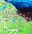 Tatry Polskie. Mapa zdrapka. Fragment 2