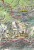 Tatry Polskie 1:30 000. Laminowana mapa turystyczna wydawnictwa Compass. Fragment 1