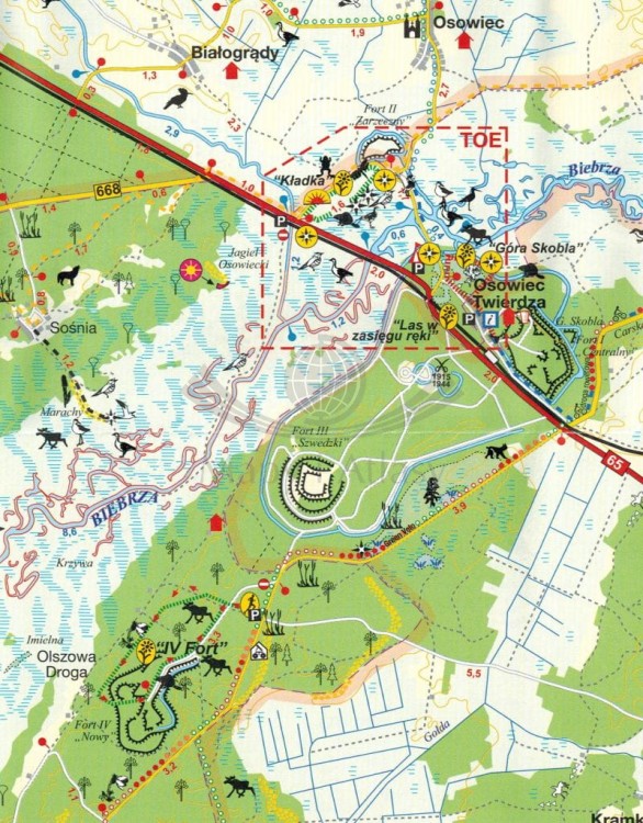 Biebrzański Park Narodowy 1:50 000. Mapa turystyczna. Fragment 1
