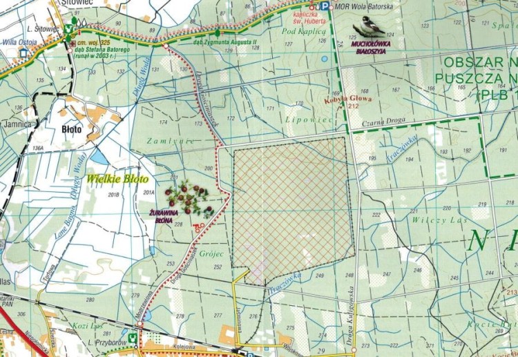 Puszcza Niepołomicka, Niepołomice. Mapa turystyczna wydawnictwa Compass. Fragment 1